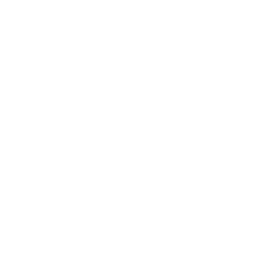 Noemon Group logo